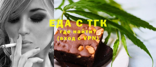 индика Гусиноозёрск