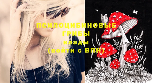 индика Гусиноозёрск