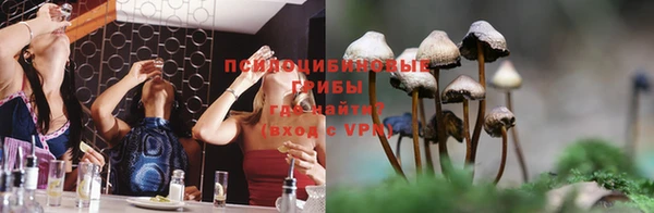 индика Гусиноозёрск