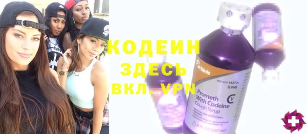 индика Гусиноозёрск