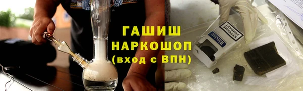 индика Гусиноозёрск