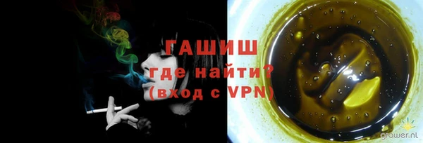 индика Гусиноозёрск