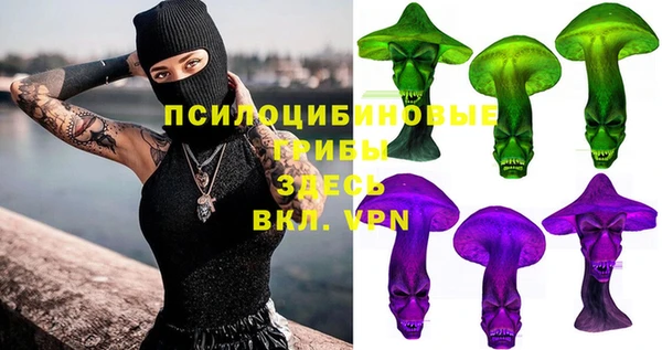 индика Гусиноозёрск