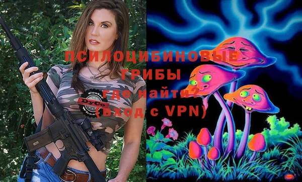 индика Гусиноозёрск