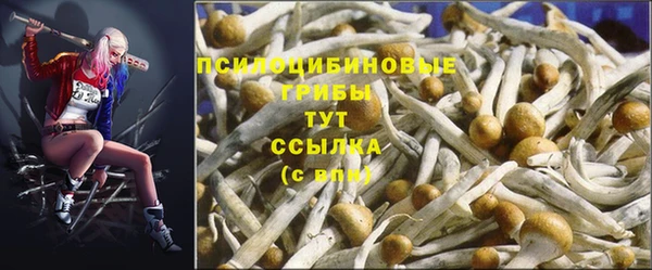 МДМА Гусев