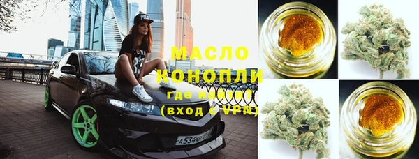 индика Гусиноозёрск