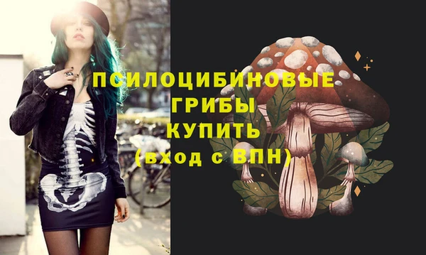 индика Гусиноозёрск