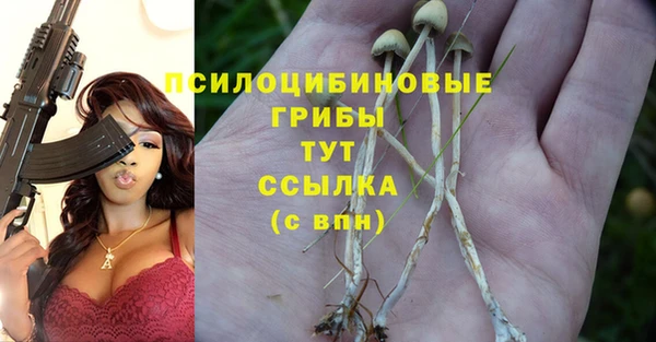 индика Гусиноозёрск