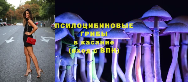 МДМА Гусев
