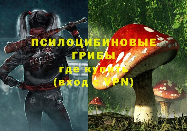 индика Гусиноозёрск