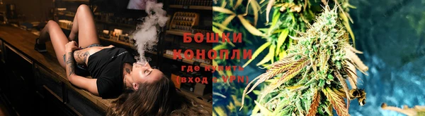 индика Гусиноозёрск