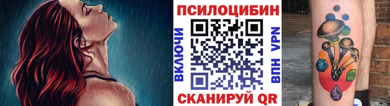 Галлюциногенные грибы Psilocybine cubensis Ермолино