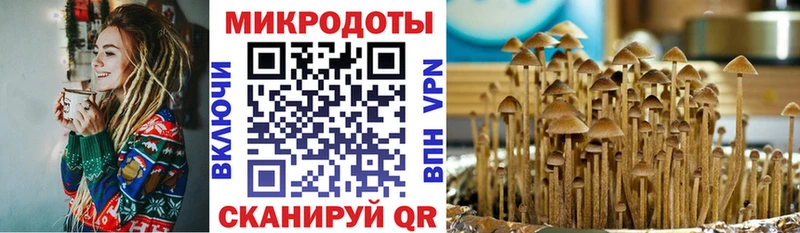 это телеграм  блэк спрут ONION  Ермолино  Галлюциногенные грибы мицелий 